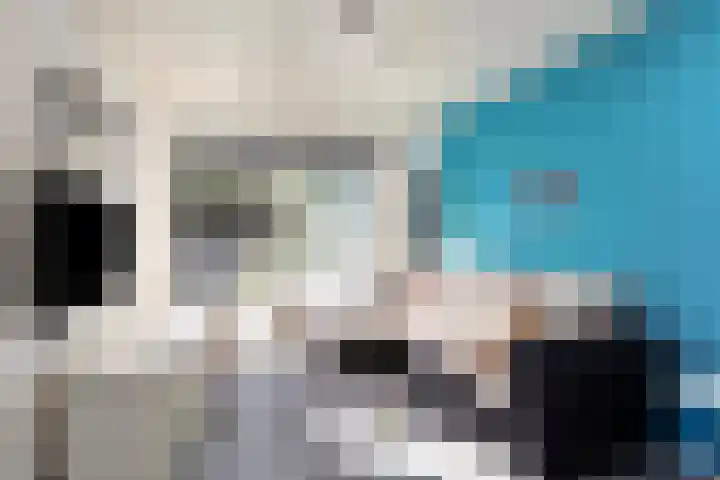 Heuvel 29 Meijel thumbnail 17