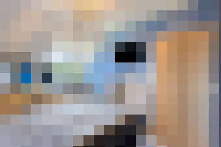 Heuvel 29 Meijel thumbnail 25