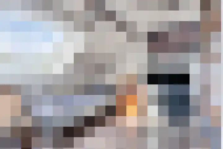 Heuvel 29 Meijel thumbnail 33