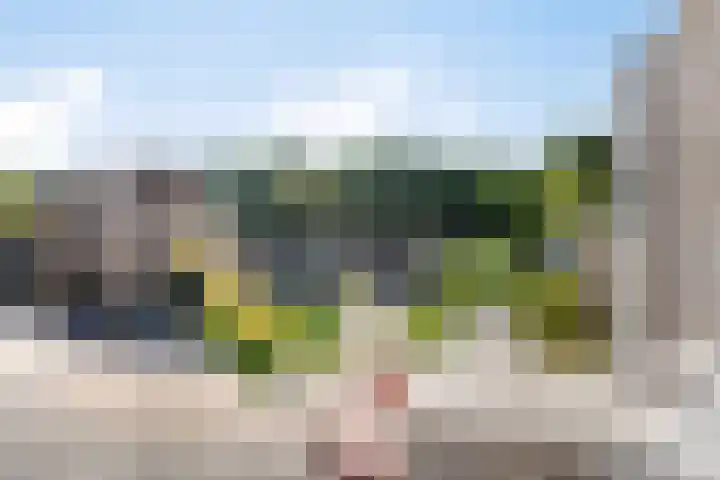 Heuvel 29 Meijel thumbnail 36