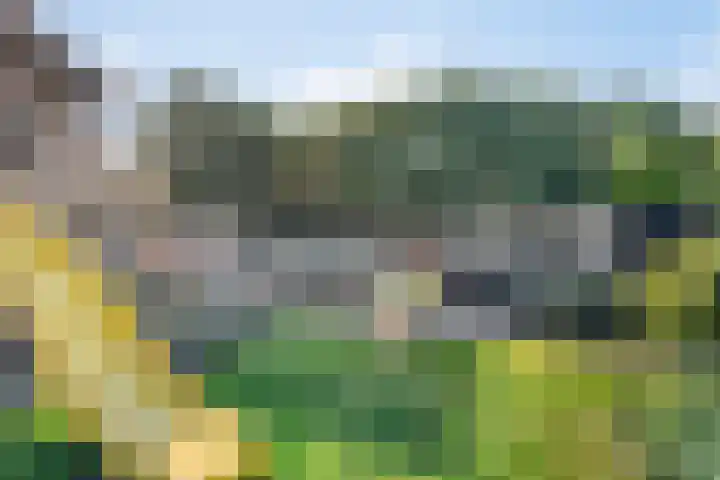 Heuvel 29 Meijel thumbnail 37