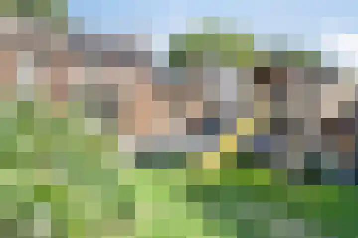 Heuvel 29 Meijel thumbnail 4