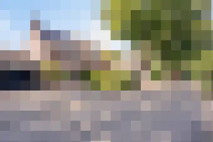 Heuvel 29 Meijel thumbnail 40