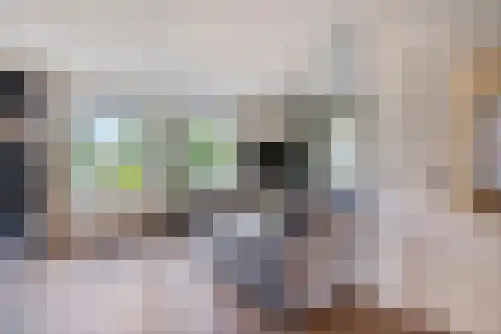 Heuvel 29 Meijel thumbnail 7