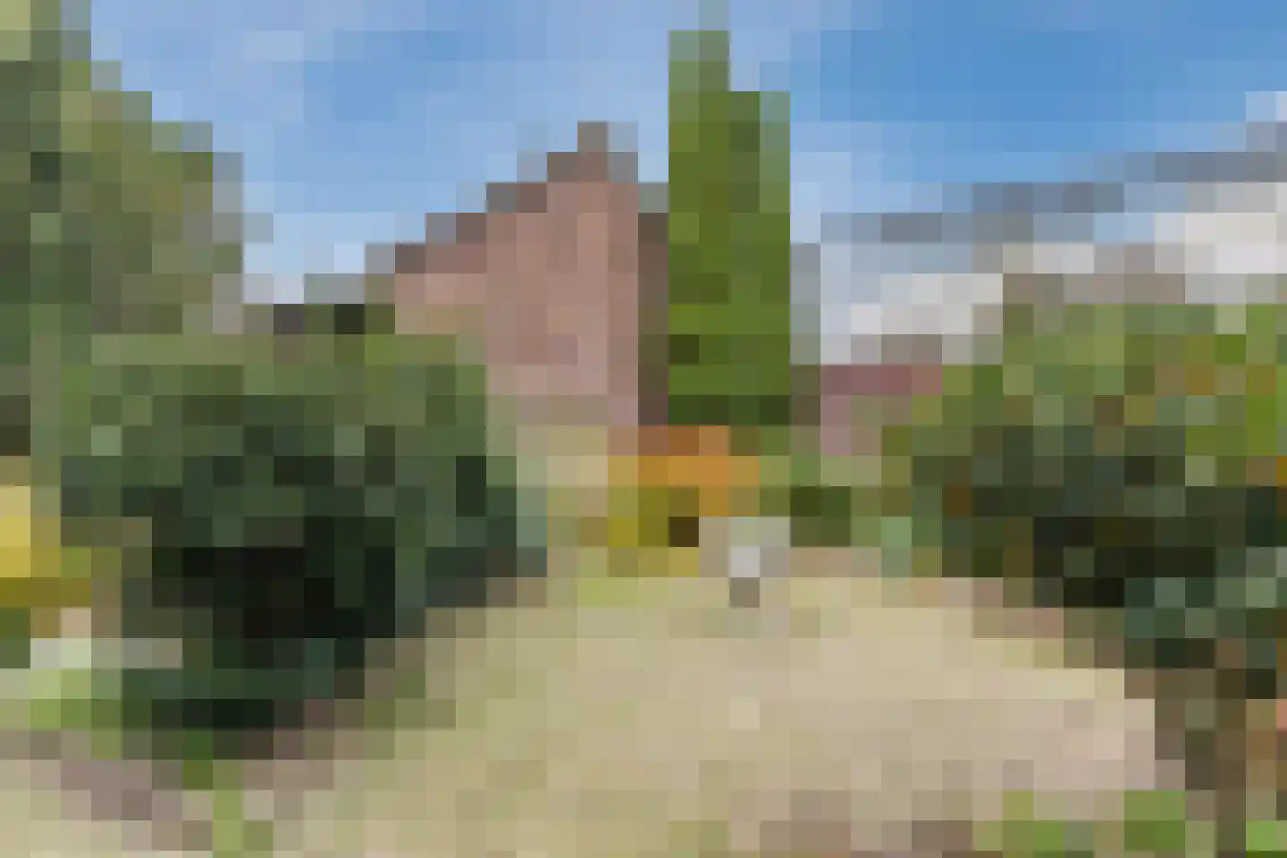 Heuvel 29 Veldhoven thumbnail 35