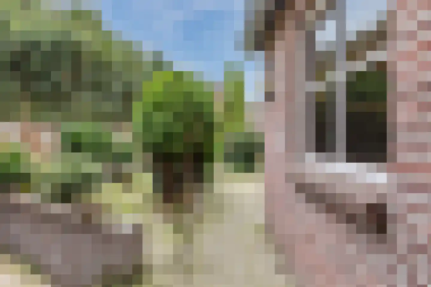 Heuvel 29 Veldhoven thumbnail 36