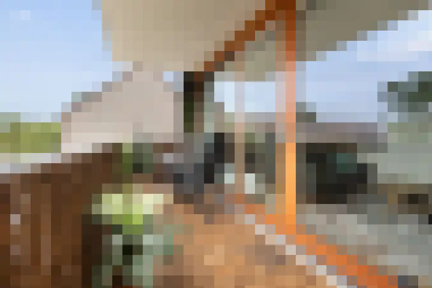 Heuvel 33 Veenendaal thumbnail 29