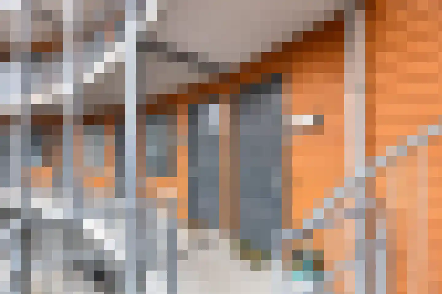 Heuvel 33 Veenendaal thumbnail 8