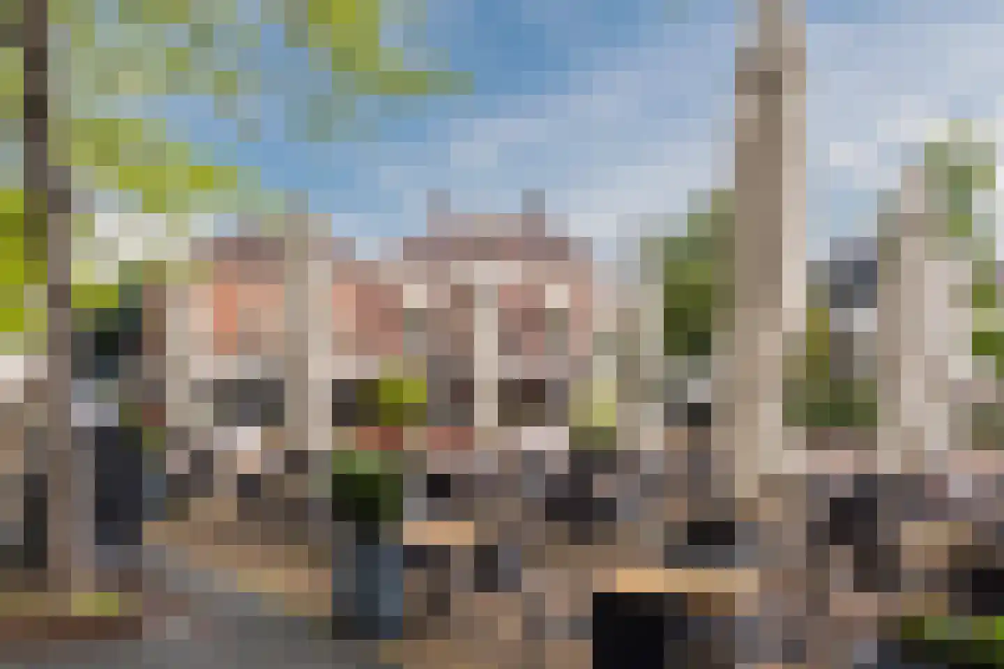 Heuvel 38 E Geldrop thumbnail 19