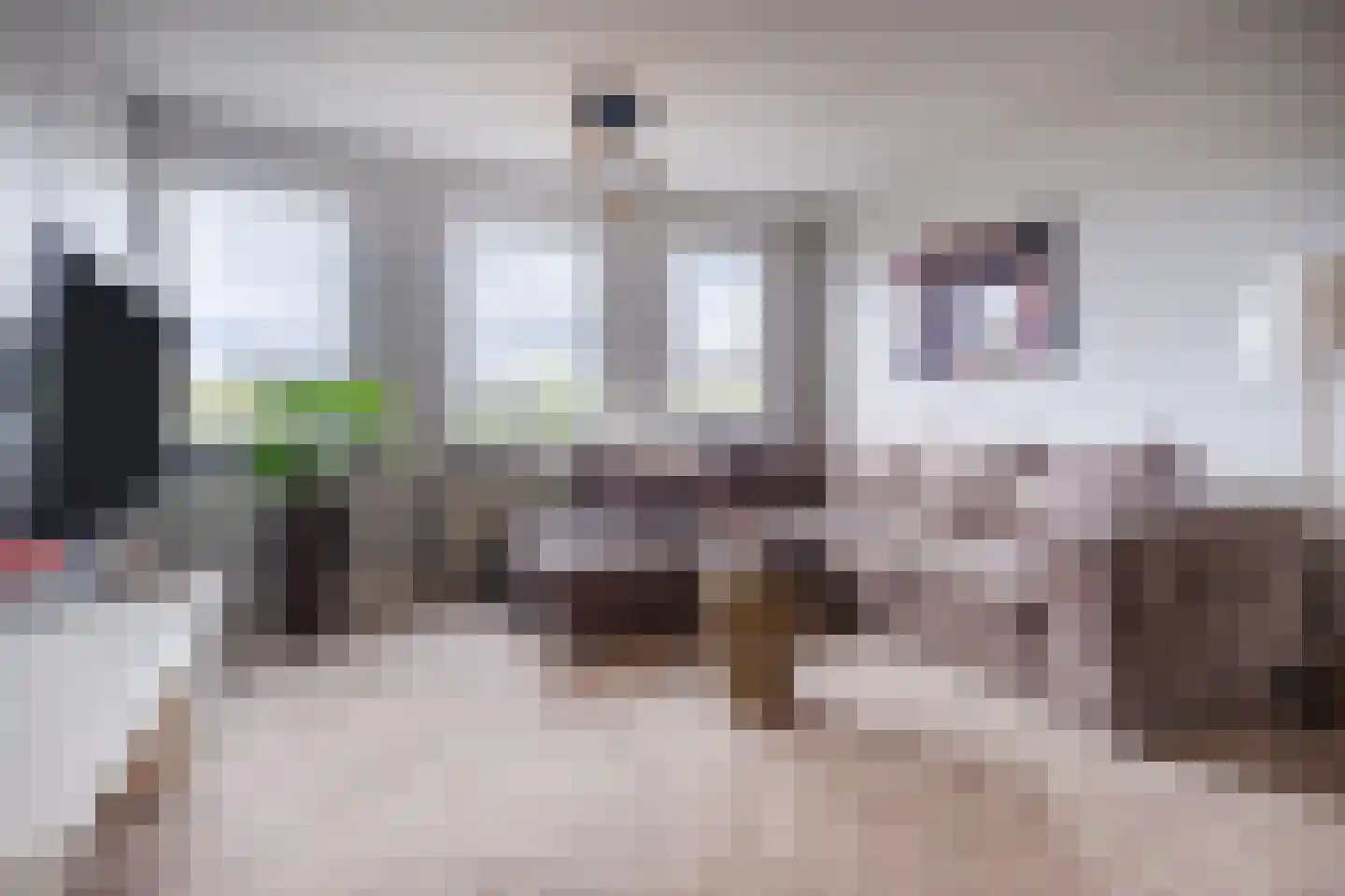 Heuvel 38 E Geldrop thumbnail 8