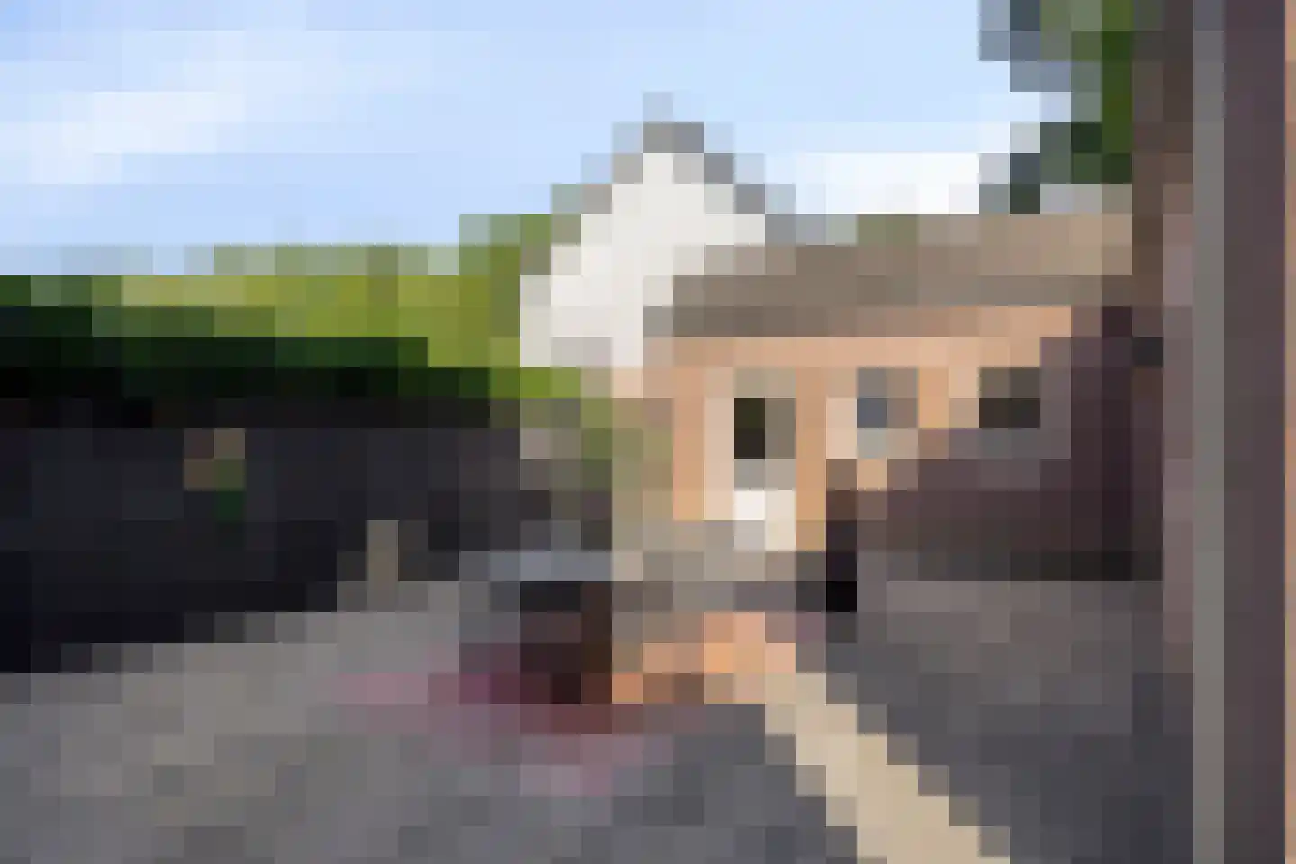 Heuvel 4 's-Hertogenbosch thumbnail 23