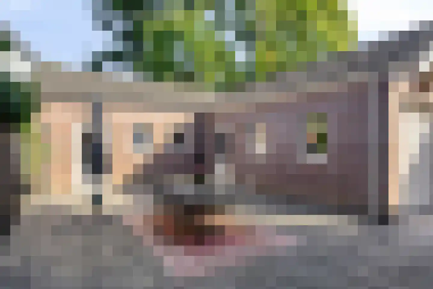 Heuvel 4 's-Hertogenbosch thumbnail 24