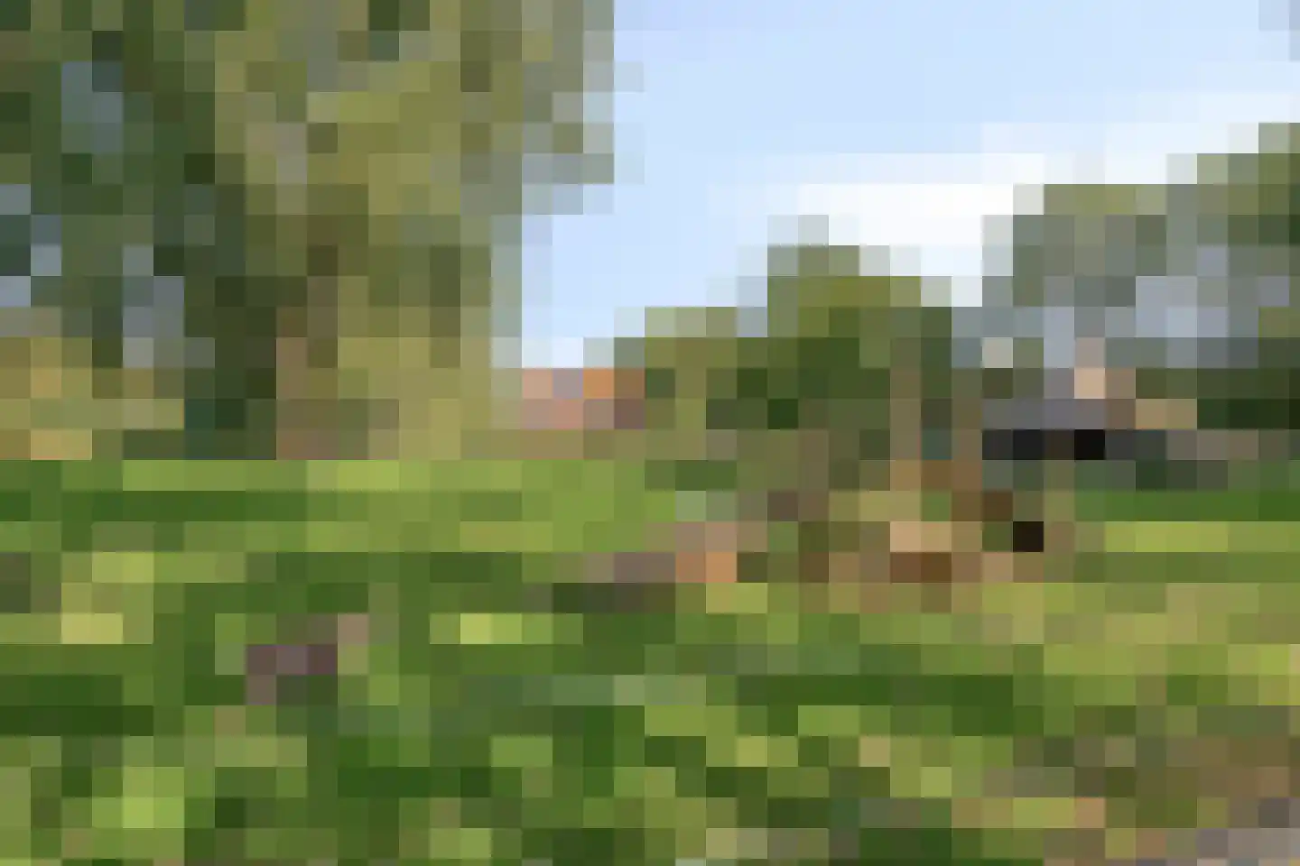 Heuvel 4 's-Hertogenbosch thumbnail 31