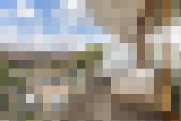 Heuvel 41 Veenendaal thumbnail 17