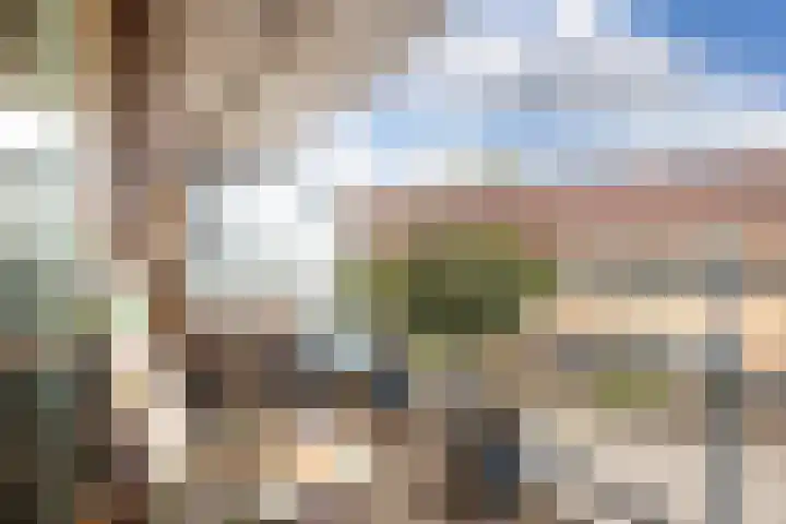 Heuvel 41 Veenendaal thumbnail 19