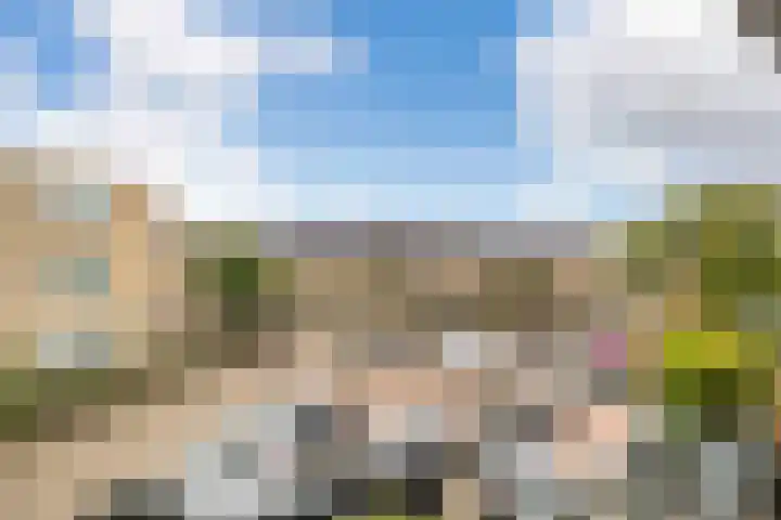 Heuvel 41 Veenendaal thumbnail 20