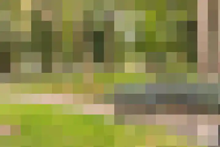 Heuvel 41 Veenendaal thumbnail 24