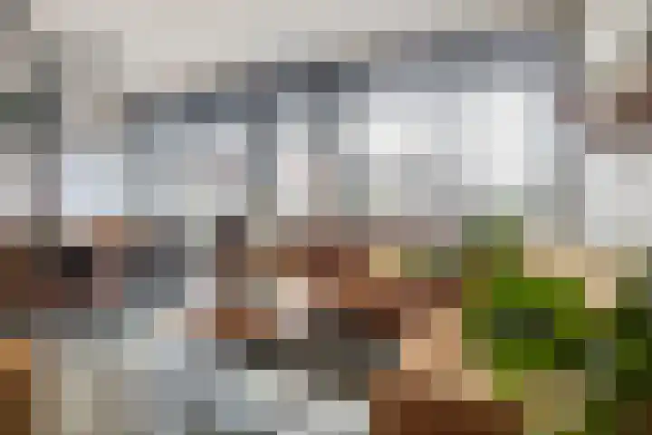 Heuvel 41 Veenendaal thumbnail 5