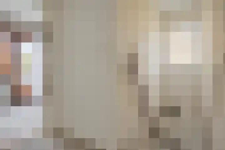 Heuvel 43 Soerendonk thumbnail 12