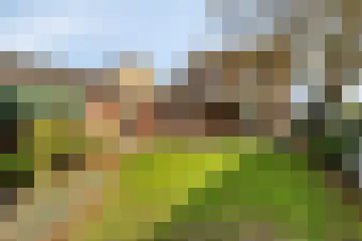 Heuvel 43 Soerendonk thumbnail 20