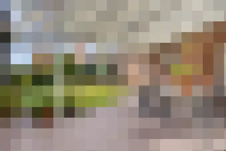 Heuvel 43 Soerendonk thumbnail 21