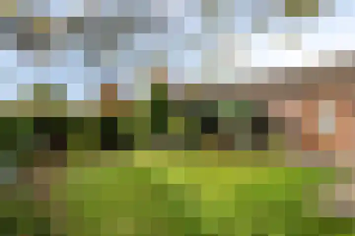 Heuvel 43 Soerendonk thumbnail 23