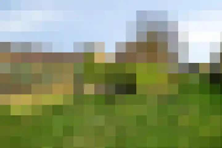 Heuvel 43 Soerendonk thumbnail 24