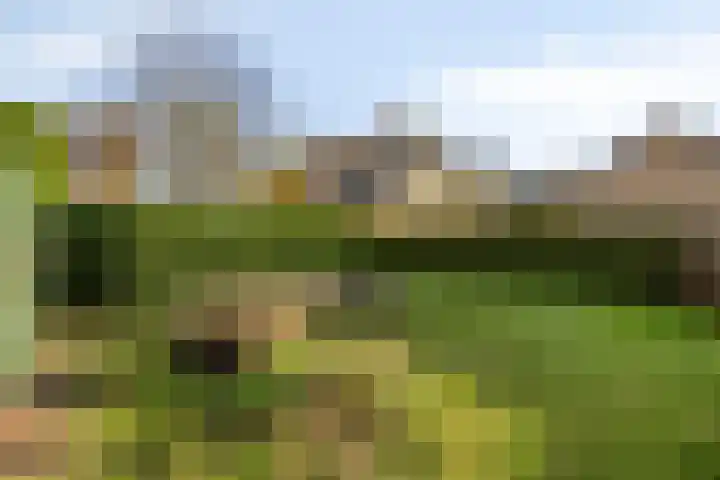 Heuvel 43 Soerendonk thumbnail 25