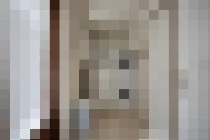 Heuvel 43 Soerendonk thumbnail 8