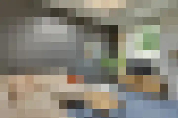 Heuvel 46 A Veldhoven thumbnail 11