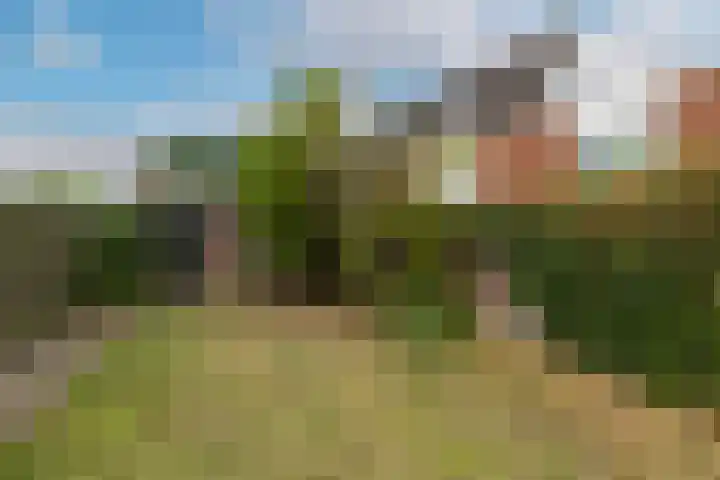 Heuvel 46 A Veldhoven thumbnail 41