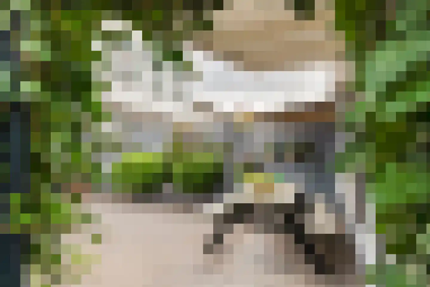 Heuvel 48 Druten thumbnail 29