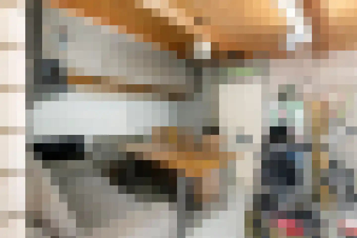 Heuvel 48 Druten thumbnail 33