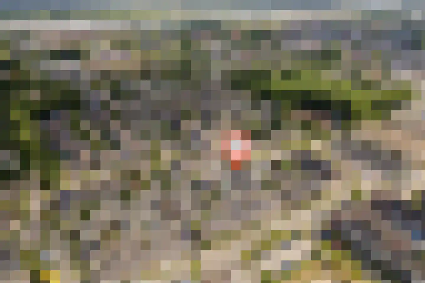 Heuvel 48 Druten thumbnail 34