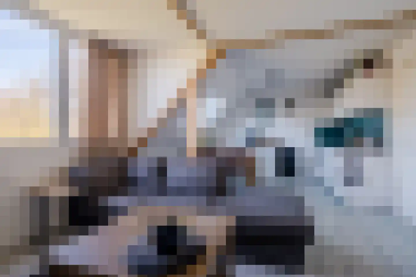 Heuvel 5 A Hoogeloon thumbnail 37