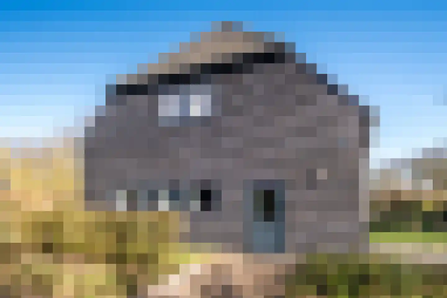 Heuvel 5 A Hoogeloon thumbnail 46