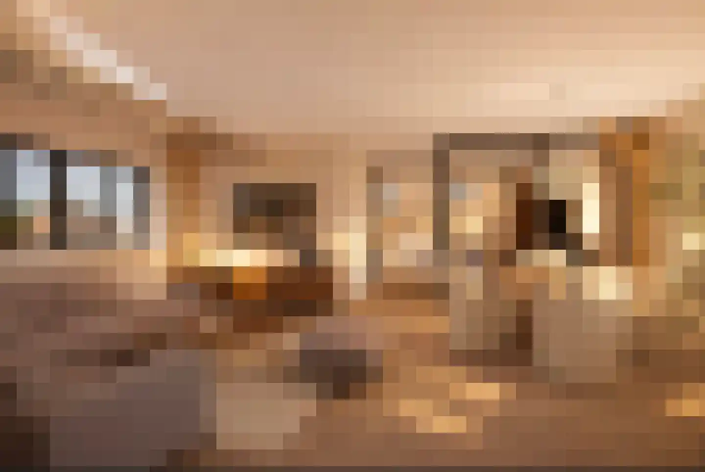 Heuvel 5 Dongen thumbnail 23
