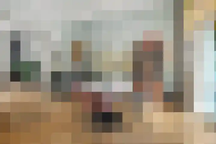 Heuvel 5 Oosterhout thumbnail 21