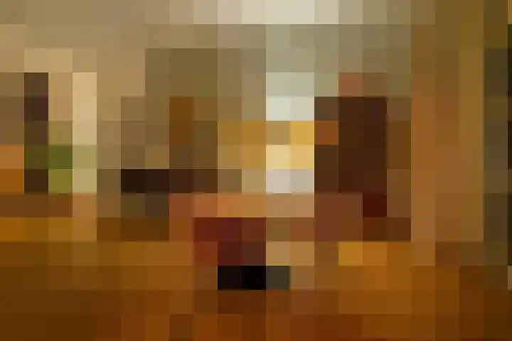 Heuvel 5 Oosterhout thumbnail 22