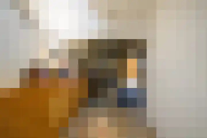 Heuvel 5 Oosterhout thumbnail 31
