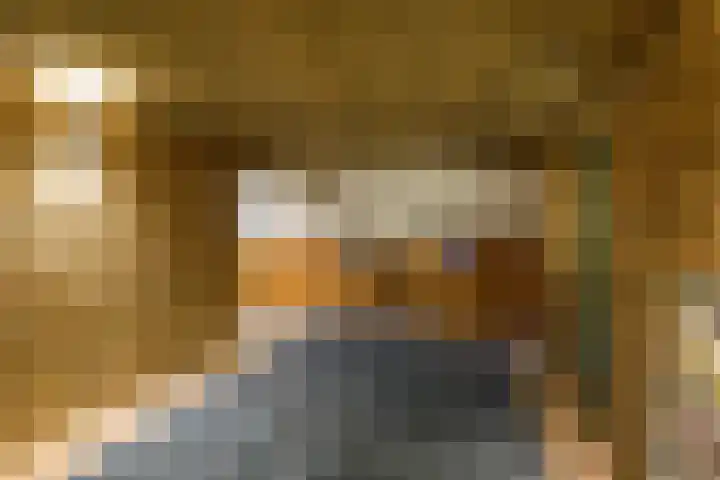 Heuvel 5 Oosterhout thumbnail 33