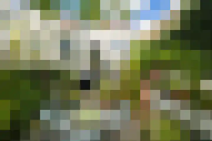 Heuvel 5 Oosterhout thumbnail 51