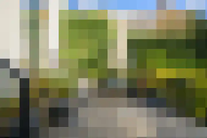 Heuvel 5 Oosterhout thumbnail 52