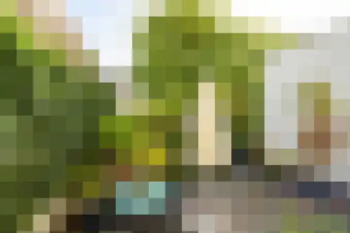 Heuvel 5 Oosterhout thumbnail 53