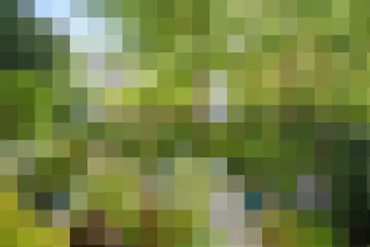 Heuvel 5 Oosterhout thumbnail 54