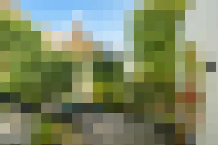 Heuvel 5 Oosterhout thumbnail 55