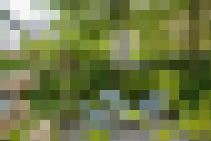 Heuvel 5 Oosterhout thumbnail 56