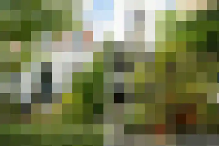 Heuvel 5 Oosterhout thumbnail 57