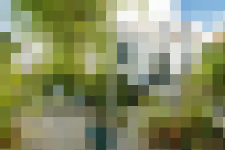 Heuvel 5 Oosterhout thumbnail 58