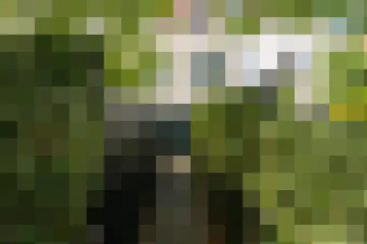 Heuvel 5 Oosterhout thumbnail 59